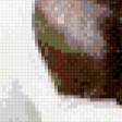 Предпросмотр схемы вышивки «лошади» (№837312)