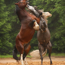 Схема вышивки «лошади»