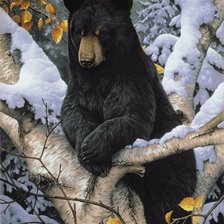 Схема вышивки «мишки»