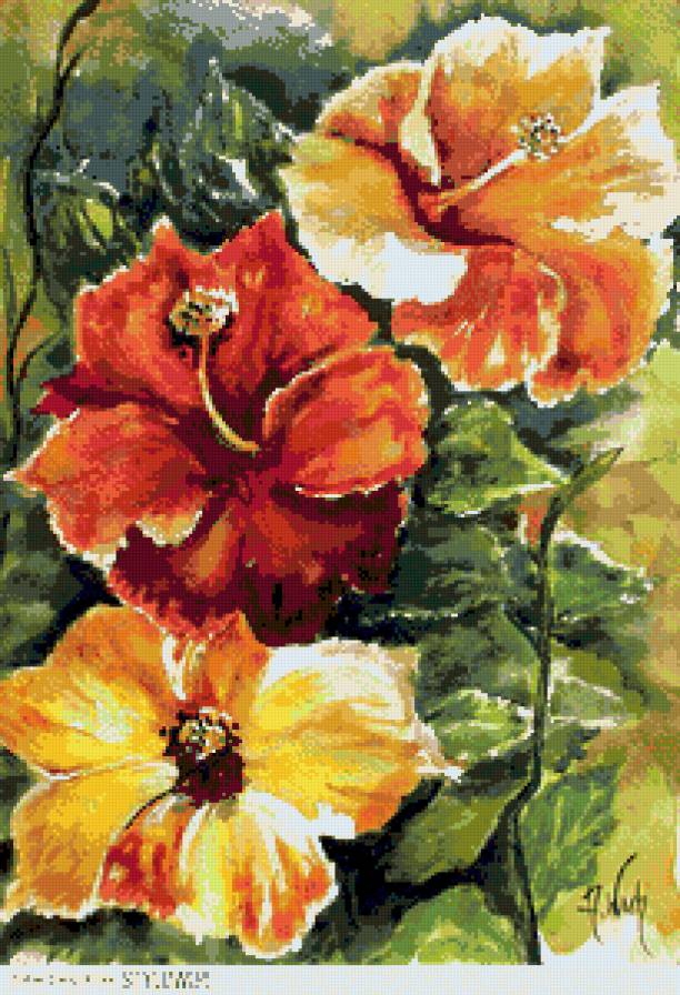 Kwiaty - предпросмотр