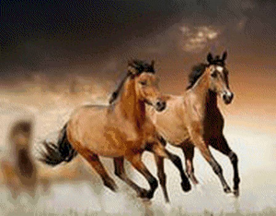 табун - предпросмотр