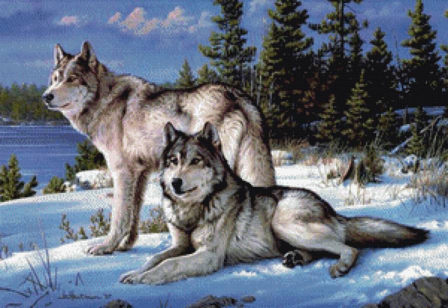 Верность - пара, волки - предпросмотр