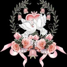 Голуби любви♡♡♡