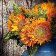 Схема вышивки «подсолнухи»