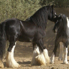 привет друг