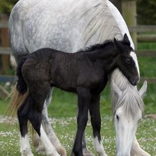 Схема вышивки «мама»