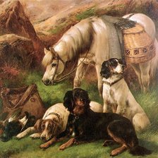 ожыдание охты