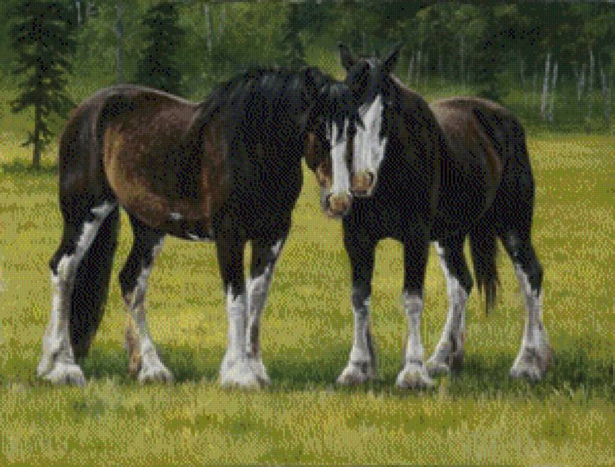 лошади - животние - предпросмотр