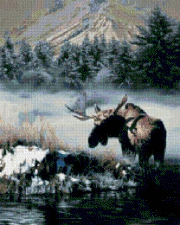 лось - животние - предпросмотр