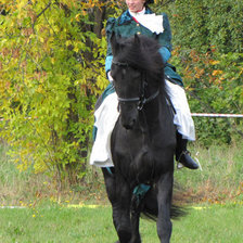 Схема вышивки «наездница»
