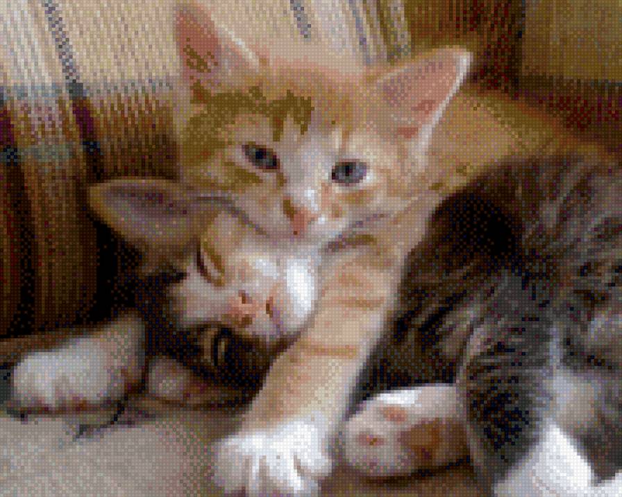 Братик и Сестричка - предпросмотр