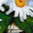 Предпросмотр схемы вышивки «ромашки» (№838187)