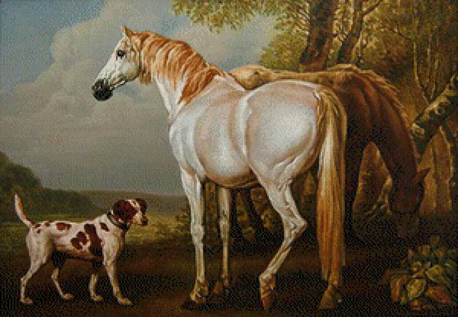 лошади - животние - предпросмотр