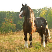 Схема вышивки «даль»
