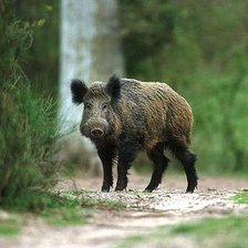 Схема вышивки «кобан»