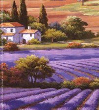 Схема вышивки «campos de lavanda»