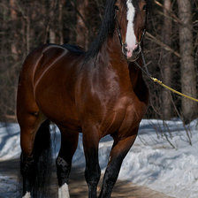 Схема вышивки «лошади»