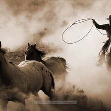 Схема вышивки «лошадь»