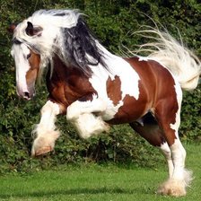 Схема вышивки «лошади»