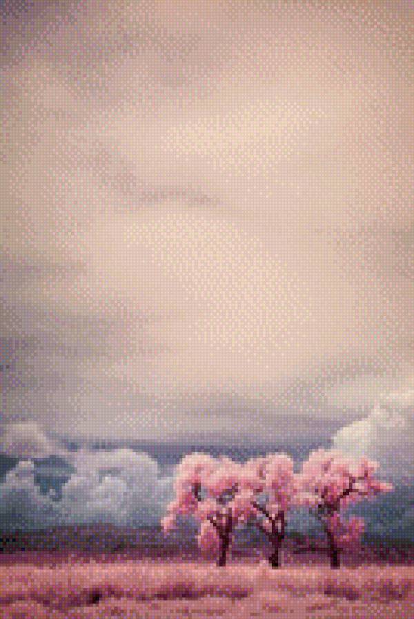 Сакура - дерево, сакура, цветение сакуры - предпросмотр