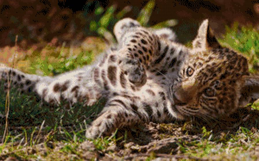 малыш - животние - предпросмотр