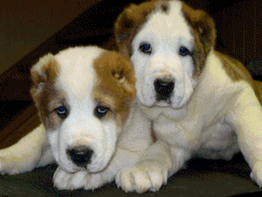 малыши - животние - предпросмотр