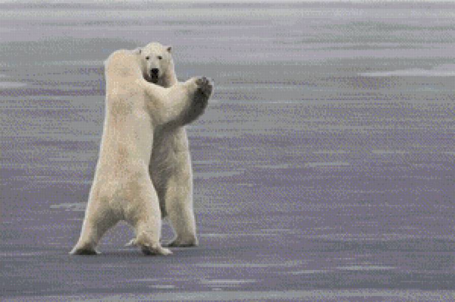 танец - животние - предпросмотр