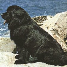 Схема вышивки «водолаз»