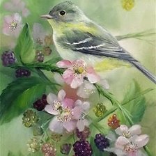 Схема вышивки «Птица на ветке»