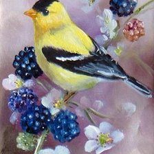 Схема вышивки «Желтая птичка»