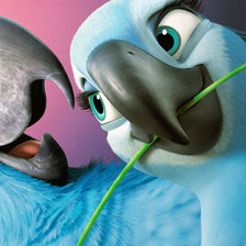 Схема вышивки «Попугаи»