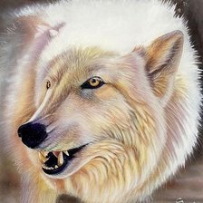 Схема вышивки «White wolf»