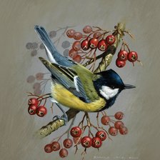 Схема вышивки «Синичка»