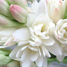 Схема вышивки «№839407»