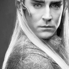 Схема вышивки «трандуил»