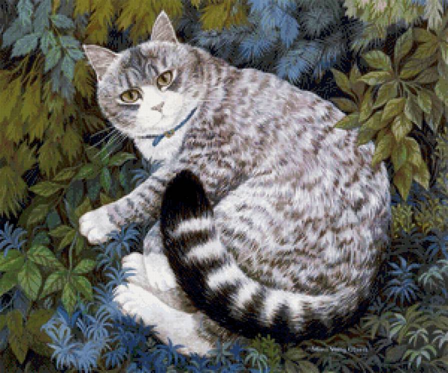 мурлыка - кот, котики, коты - предпросмотр