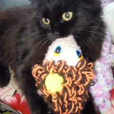 Схема вышивки «Сонечка»