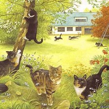 на прогулке