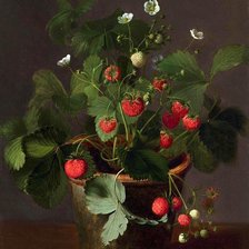 Схема вышивки «№839838»