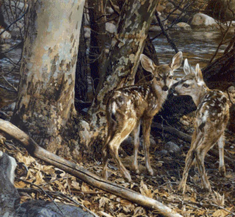 братцы - животние - предпросмотр