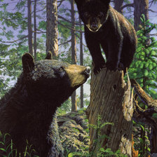 Схема вышивки «мама с матри куда я залез»