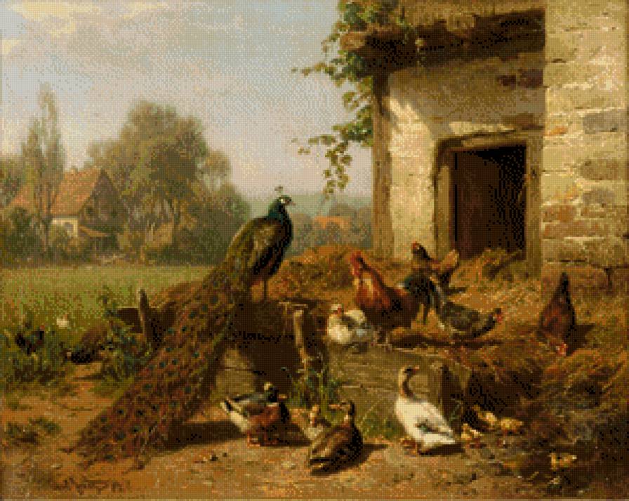 птичей двор - животние - предпросмотр