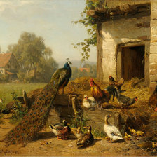 птичей двор