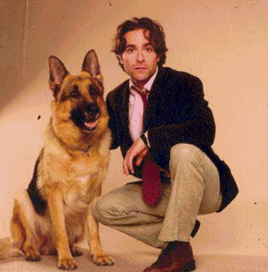 рекс - животние - предпросмотр