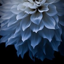 Схема вышивки «№839938»