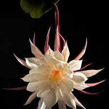 Схема вышивки «№839943»