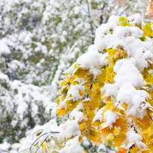 Схема вышивки «№839996»