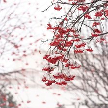 Схема вышивки «№839999»