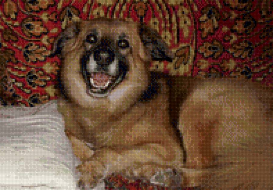 Собака - улыбающаяся собака - предпросмотр