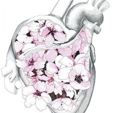 Схема вышивки «Сердце романтизм-реализм»